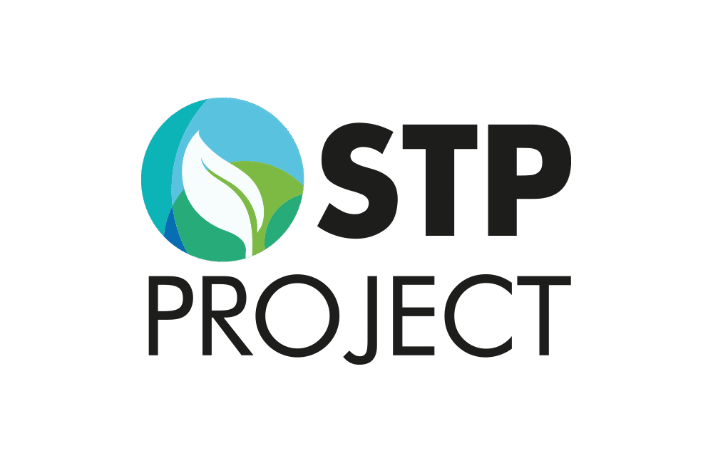 10_project_stp